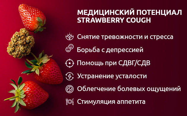 Медицинский эффект Strawberry Cough Медицинские свойства Strawberry Cough