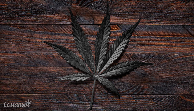 Подборка черных сортов марихуаны Черные сорта марихуаны