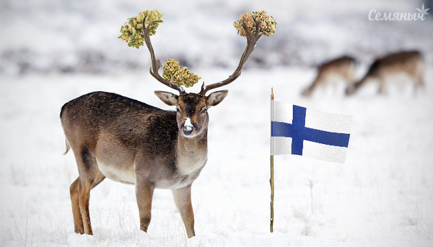 Вероятность легалайза в Финляндии Финляндия и лигалайз