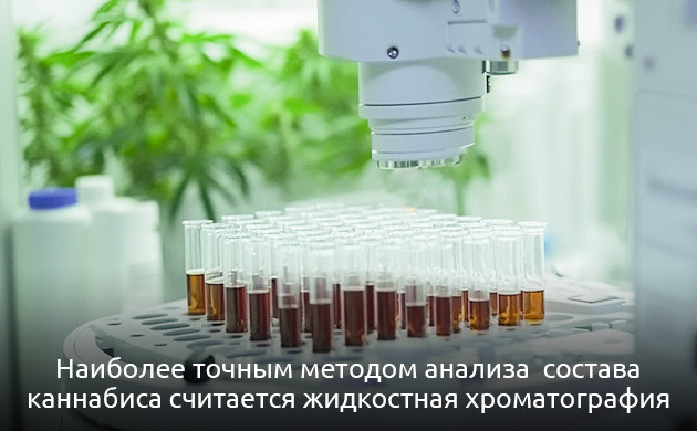 Жидкостная хроматография каннабиса Высокоэффективная хроматография