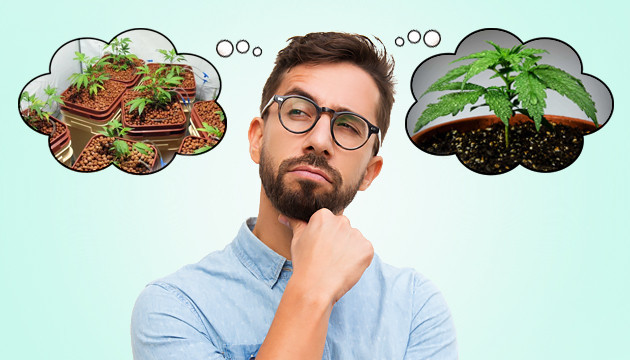 Подведение итогов Подводим итоги