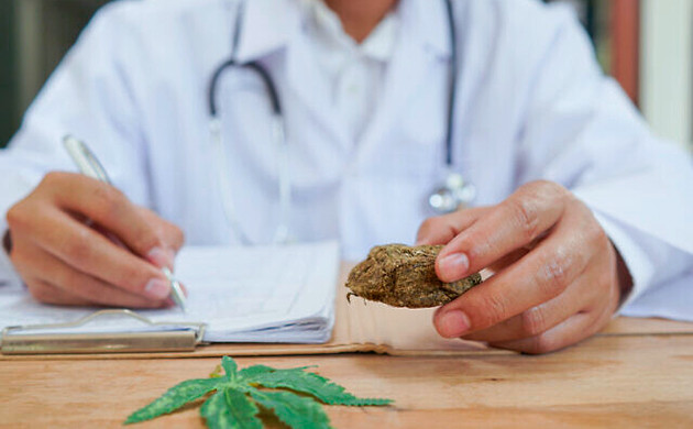 Взаимодействие конопли и иммунной системой человека Исследование пользы каннабиса для здоровья