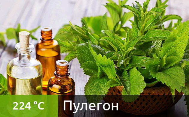 Рекомендуемая температура нагрева для пулегона в вейпе (224 °C)