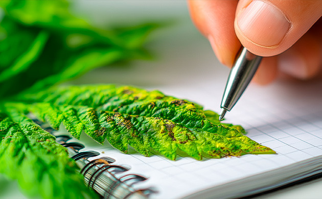 2 шаг комплексной стратегии — следить за активностью вредителей