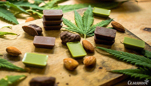 Шоколад с марихуаной Разнообразие шоколада с коноплей