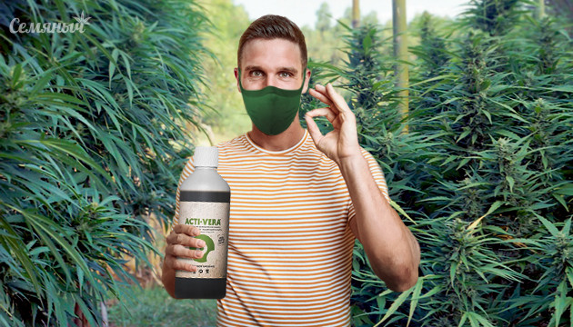 Использование стимуляторов в аутдоре Стимуляторы для конопли