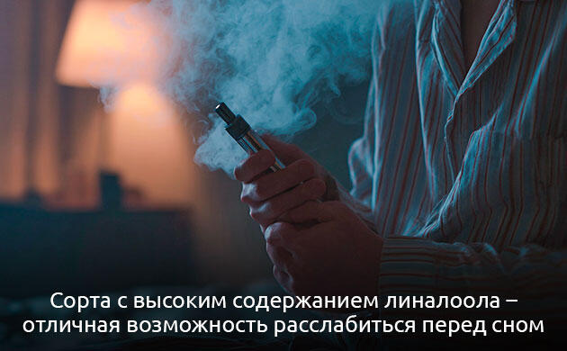 Линалоол — цветочный терпен конопли Линалоол в каннабисе: цветочный аромат и седативное действие