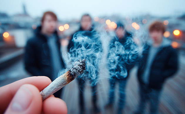 Реакция подросткового мозга на каннабиноиды Каннабис и память подростков