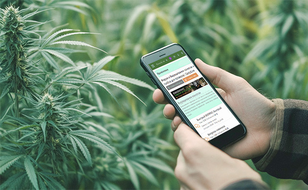 Ganjalive: крупнейший форум гроверов Ganjalive: темы и валюта