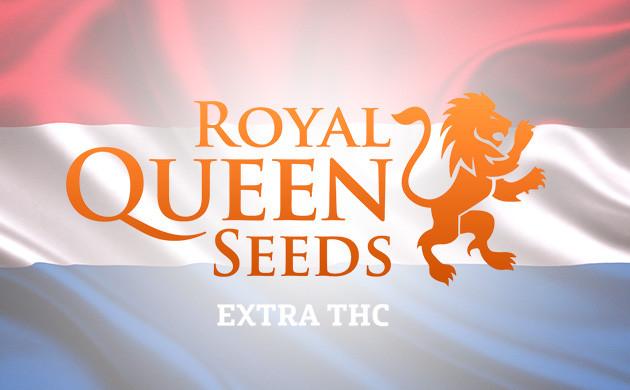 RQS – один из крупнейших производителей семян в Европе Royal Queen Seeds – представитель европейской селекции