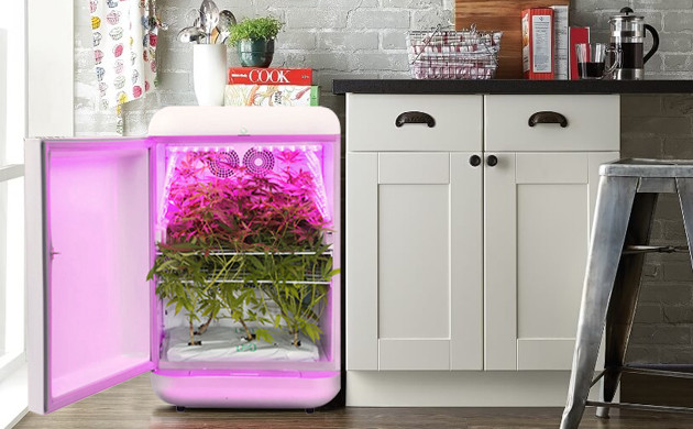 Как замаскировать гроубокс в холодильнике Марихуана в холодильнике