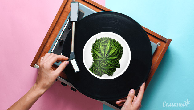 Сорта для любимой музыки Музыкальная пластинка и марихуана