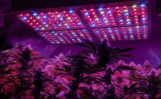 Энергоэффективность в конопляном гровинге Экономия и экологичность процесса