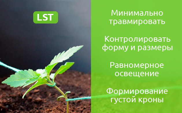 Ожидаемый эффект после применения LST Плюсы метода ЛСТ