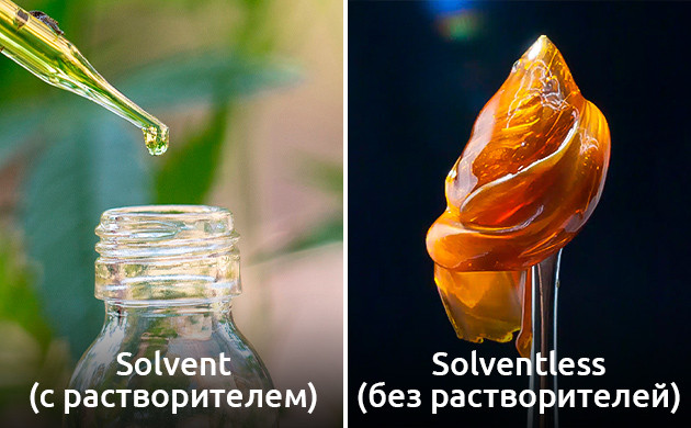 Экстракция каннабиса: различия между Solvent и Solventless методами Методы экстракции: Solvent vs Solventless