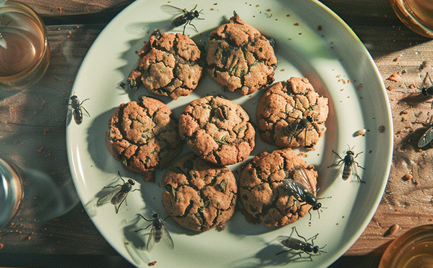Время и качество: управление старением канна-еды и концентратов Правильное хранение каннабиса: защита от потери мощности