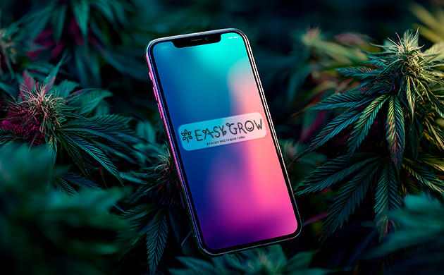 Easy Grow – всё для выращивания каннабиса Easy Grow – магазин удобрений и гроверского оборудования