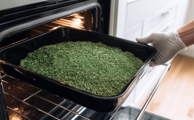 Первый шаг – активация каннабиноидов Декарбоксилирование каннабиса