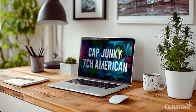 Выращивание сорта марихуаны Cap Junky от сидбанка 7CH American Гроурепорт сорта Cap Junky от сидбанка 7CH American