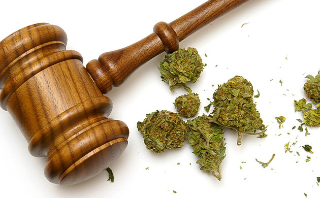 Законы Германии в отношении марихуаны Законы Германии и марихуана