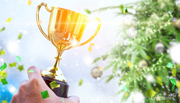 Победители Канна-елки 2023 Кубок за лучшую канна-елку