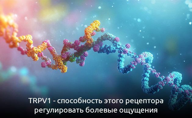 TRPV1: надежда для больных TRPV1 и лечение боли