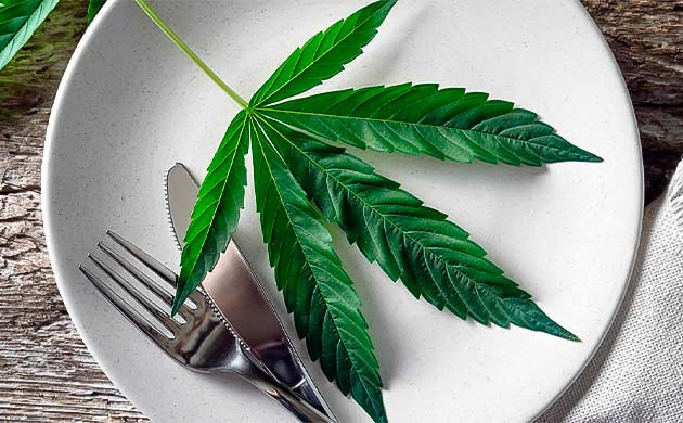 Употребление свежей конопли Лист каннабиса на тарелке