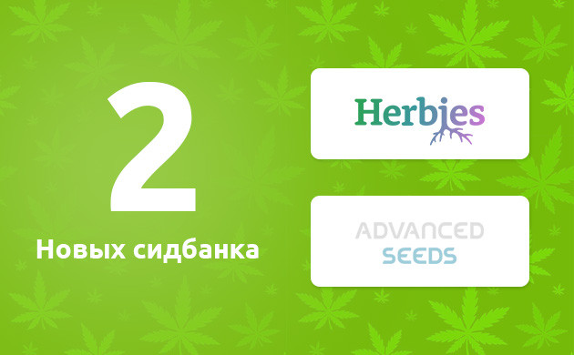 Новые сидбанки в каталоге Новинки Herbies Seeds и Advanced Seeds