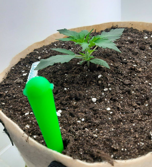 Полив и питание Bruce Banner Auto Регулировка освещения и влажности Bruce Banner Auto