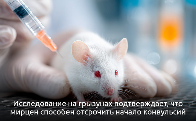 Мирцен — компонент противосудорожной терапии Эпилепсия