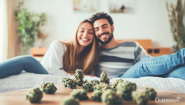 Занятия для стоунеров Досуг после использования конопли