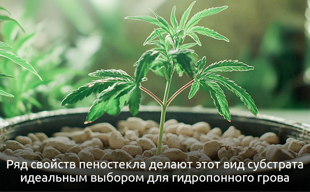 Пеностекло для гидропоники Преимущества пеностекла