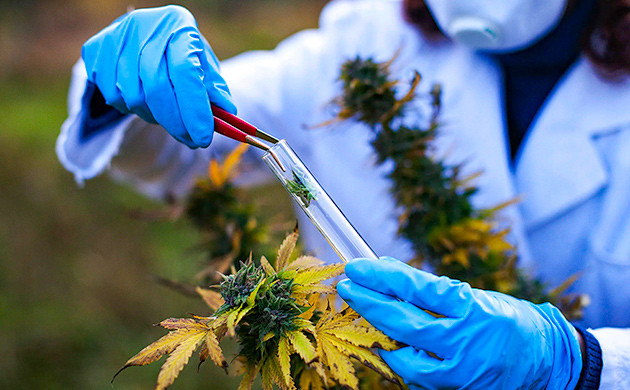 Работа лаборантом Работа в лабораториях