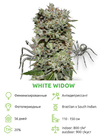 Бонус White Widow White Widow