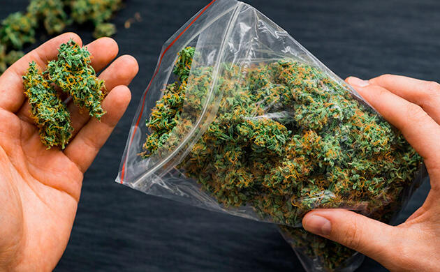 FAQ о хранении марихуаны в пластиковых пакетах Частые вопросы о хранении каннабиса в пластиковых пакетах