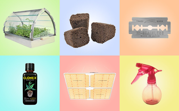 Подготовка к укоренению клонов Материалы для укоренения клонов