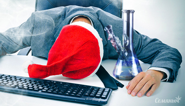 Сорта заряжающие энергией Конопля и работа