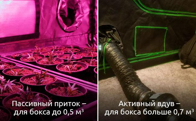 Принцип работы пассивной и активной вентиляции в гроубоксе Пассивная и активная вентиляция гроубокса