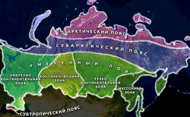 Климатические зоны России Разделение России по климатическим зонам