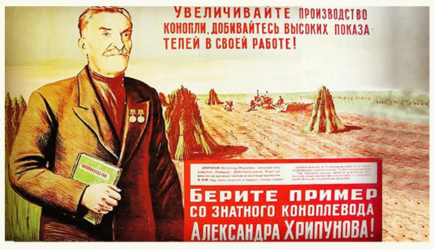 Как использовали коноплю в СССР Использование каннабиса в СССР