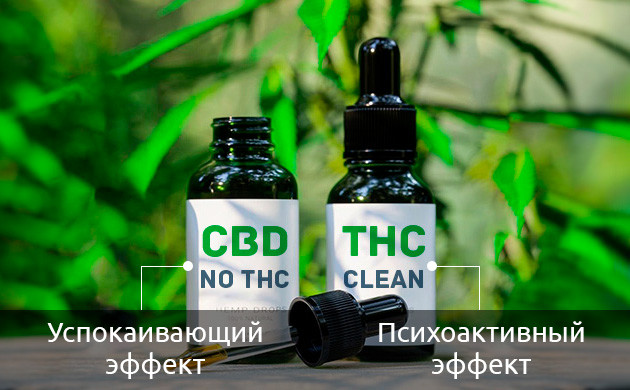 ТГК/КБД масло для шоколада Каннабиноиды в маслах