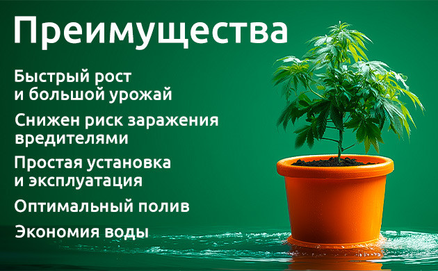 DWC: оптимальный полив для каннабиса Преимущества DWC: от быстрого роста до экономии воды