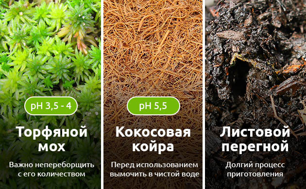 Состав почвосмеси Из чего смешать почвосмесь для марихуаны