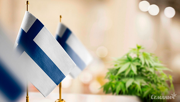 Легализация рекреационной конопли в Финляндии Легалайз в Финляндии