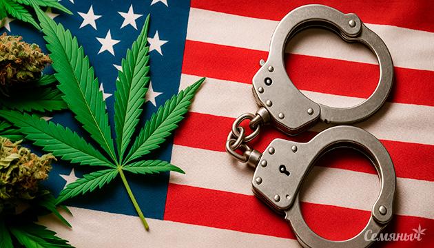 Количество арестов за коноплю в США снизилось в четыре раза Количество арестов за каннабис в США снизилось в несколько раз