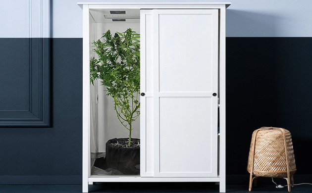 Гроубокс своими руками Гроубокс для конопли