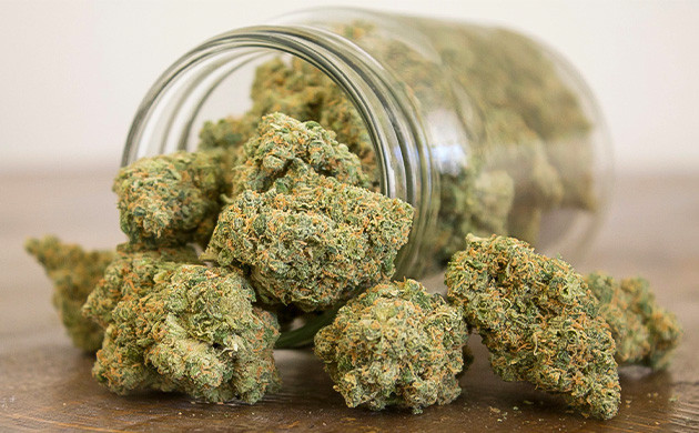 Хранение урожая марихуаны в стеклянной банке Стеклянная банка с шишками марихуаны