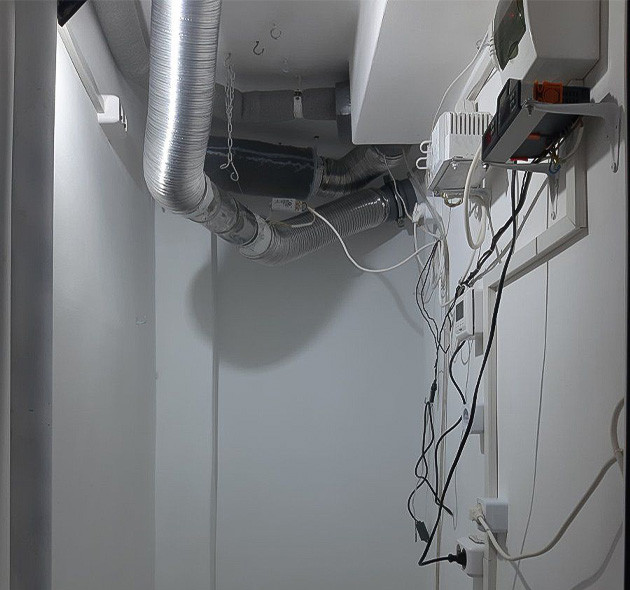 Первые шаги в гроуинге Blackberry Moonrocks Вегетативный период сорта Blackberry Moonrocks