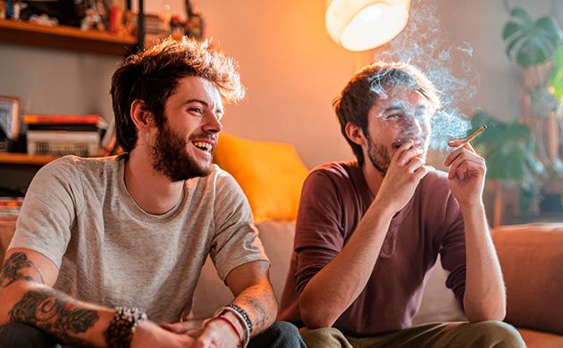 Jack Herer – баланс между сативной энергичностью и индичной расслабленностью Особенности эффекта Jack Herer