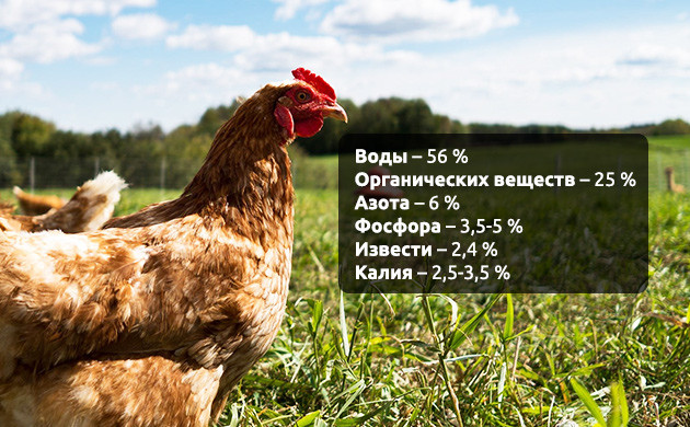 Удобрение почвы куриным пометом Состав куриного помета